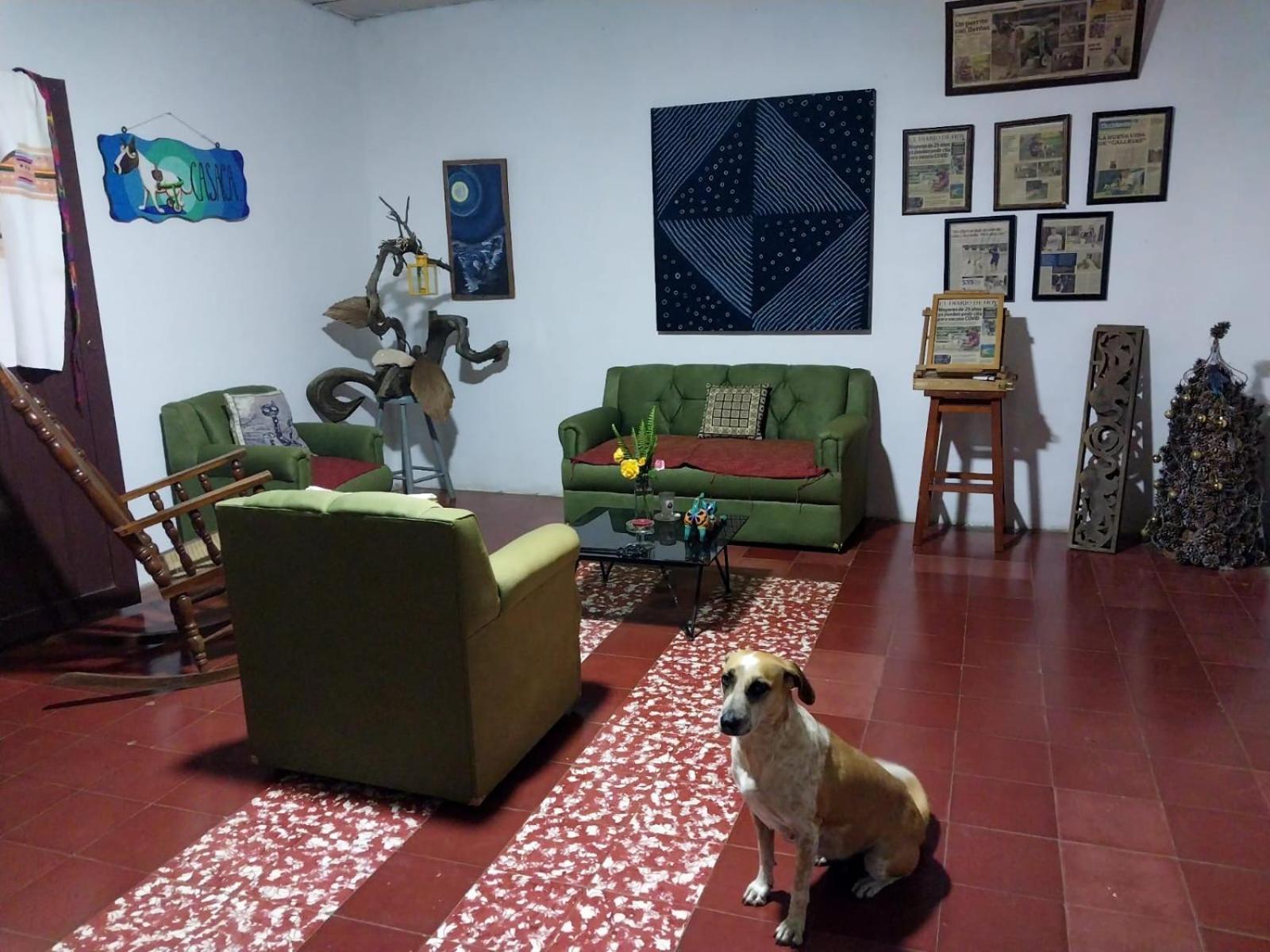 Casaca Apartment Concepcion de Ataco Exterior photo